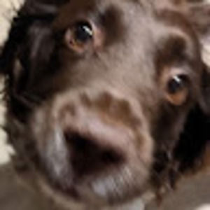 Meet your Posher, Magdalena